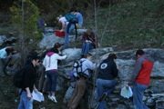 IMG_9851.JPG