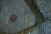 IMG_0020.JPG