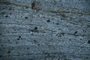 IMG_0024.JPG
