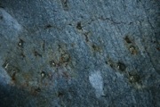 IMG_0032.JPG
