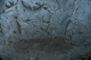 IMG_0038.JPG