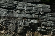 IMG_9863.JPG