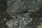 IMG_9875.JPG