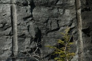 IMG_9867.JPG