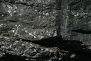 IMG_9873.JPG