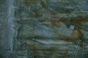 IMG_9884.JPG