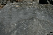 IMG_9894.JPG
