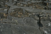IMG_9896.JPG