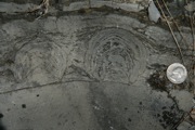 IMG_9902.JPG