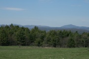 IMG_9906.JPG