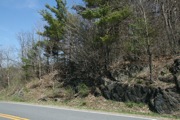 IMG_9907.JPG