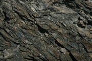 IMG_9912.JPG