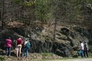 IMG_9918.JPG