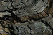 IMG_9931.JPG