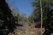 IMG_9932.JPG