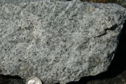 IMG_9855.JPG