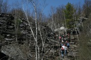 IMG_9935.JPG