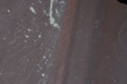IMG_9954.JPG