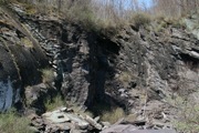 IMG_9944.JPG