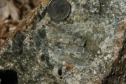 IMG_9856.JPG