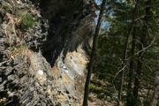 IMG_9963.JPG