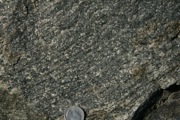 IMG_9857.JPG