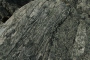 IMG_9983.JPG