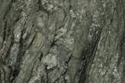 IMG_9986.JPG