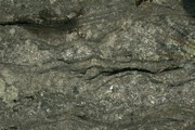 IMG_9993.JPG