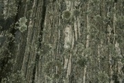 IMG_9995.JPG
