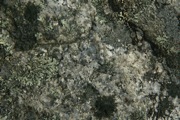 IMG_9996.JPG