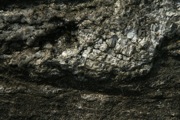 IMG_9997.JPG