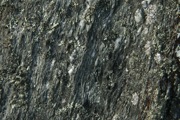 IMG_0004.JPG