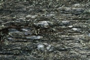 IMG_0005.JPG