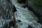 IMG_0015.JPG