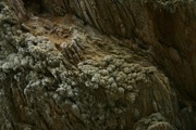 IMG_0056.JPG