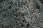 IMG_0062.JPG