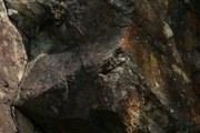 IMG_0083.JPG