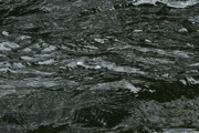 IMG_0091.JPG