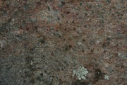 IMG_0095.JPG