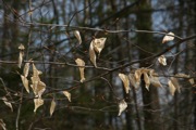 IMG_0149.JPG