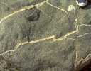 16.JPG