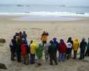 CapeAnn17
