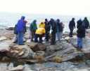CapeAnn26