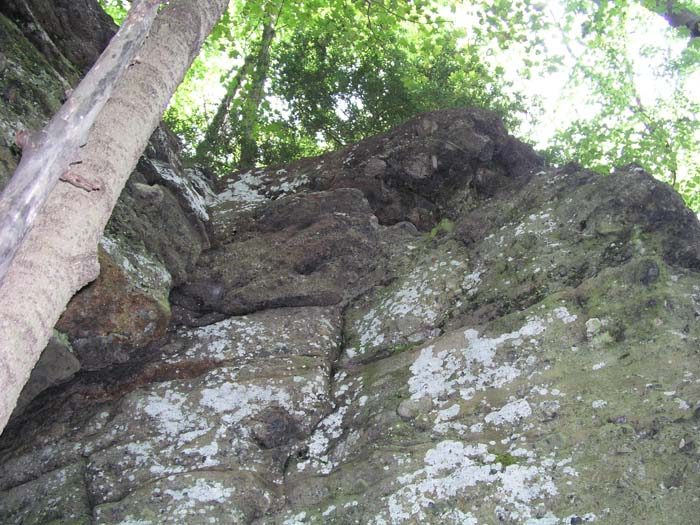 P1010013