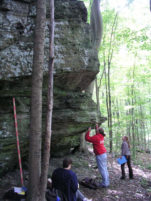 P1010024