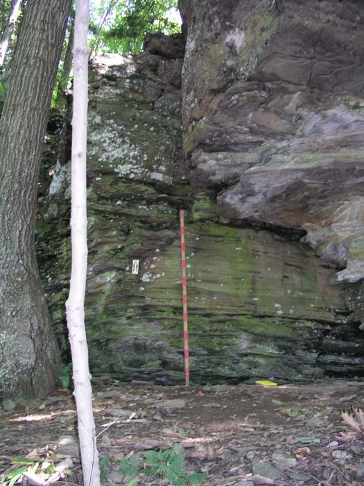 P1010039