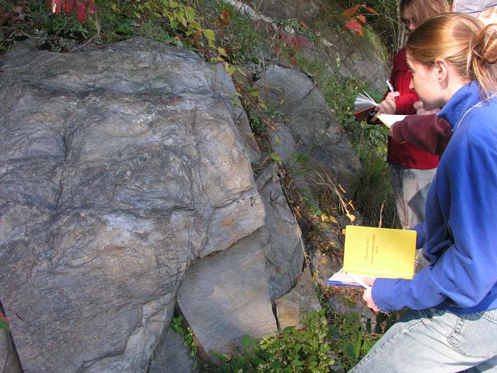 P1010001