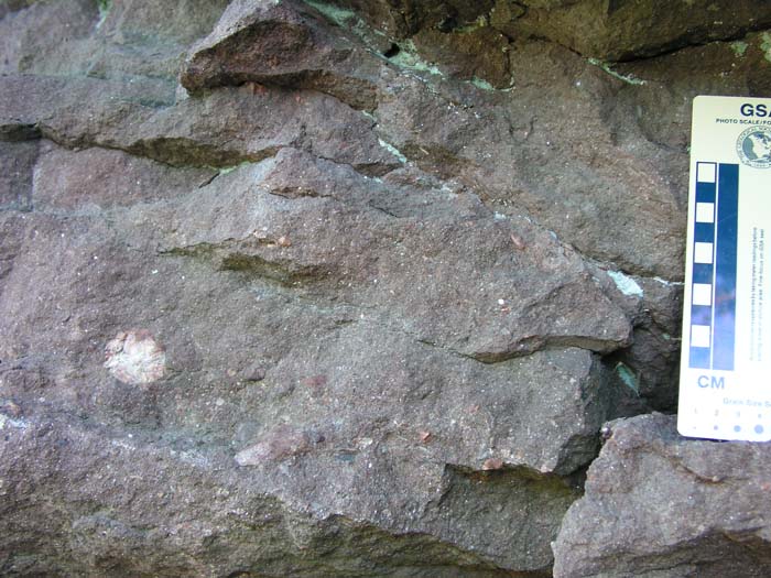 P1010006