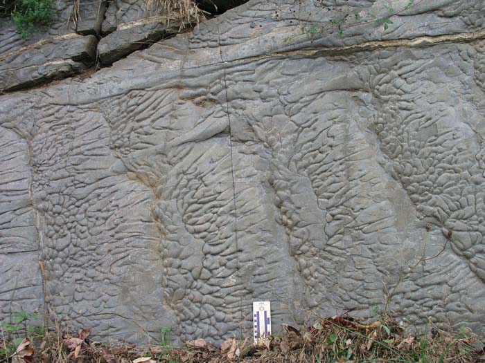 P1010011